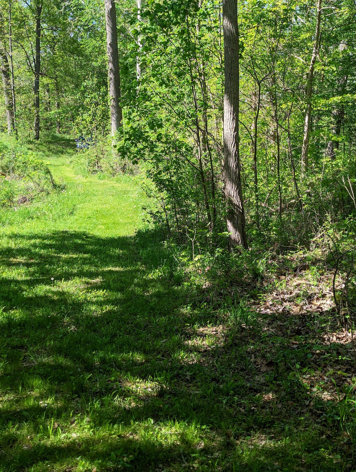 Morton Barn with Trails & Pond