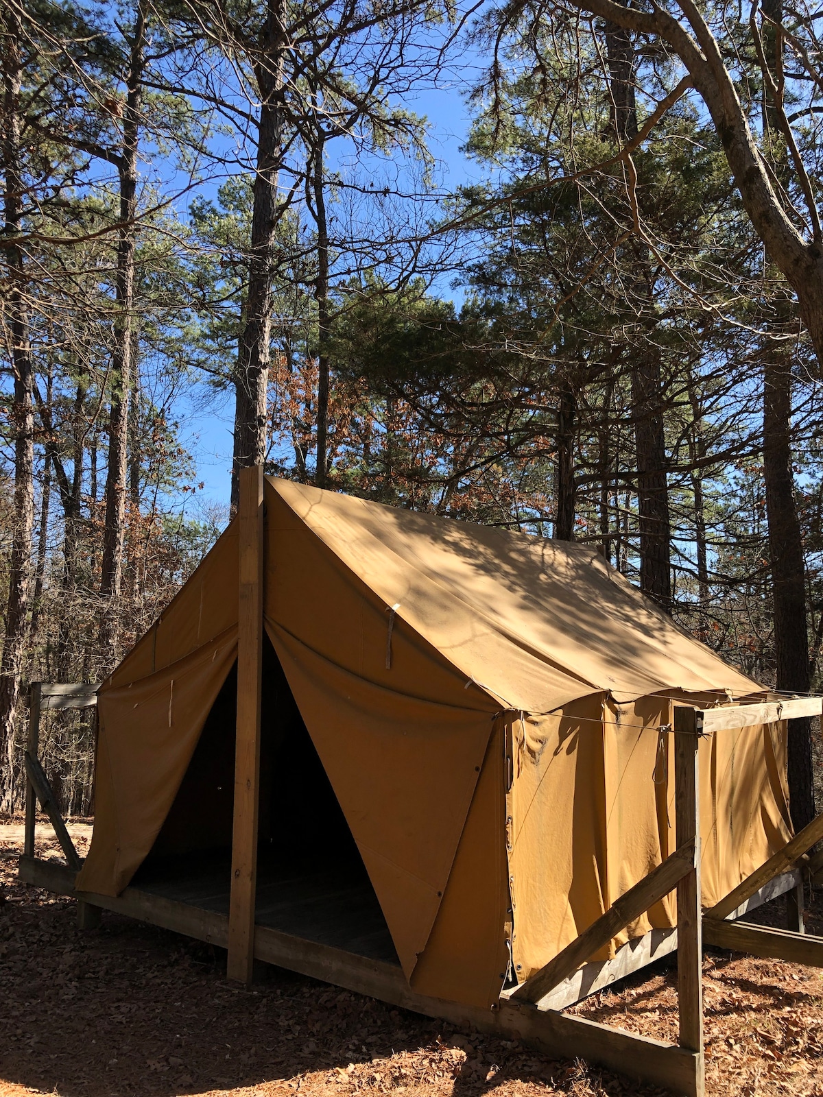 Tranquil Forest Glamp Tent