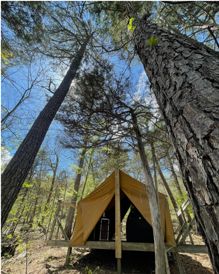 Tranquil Forest Glamp Tent