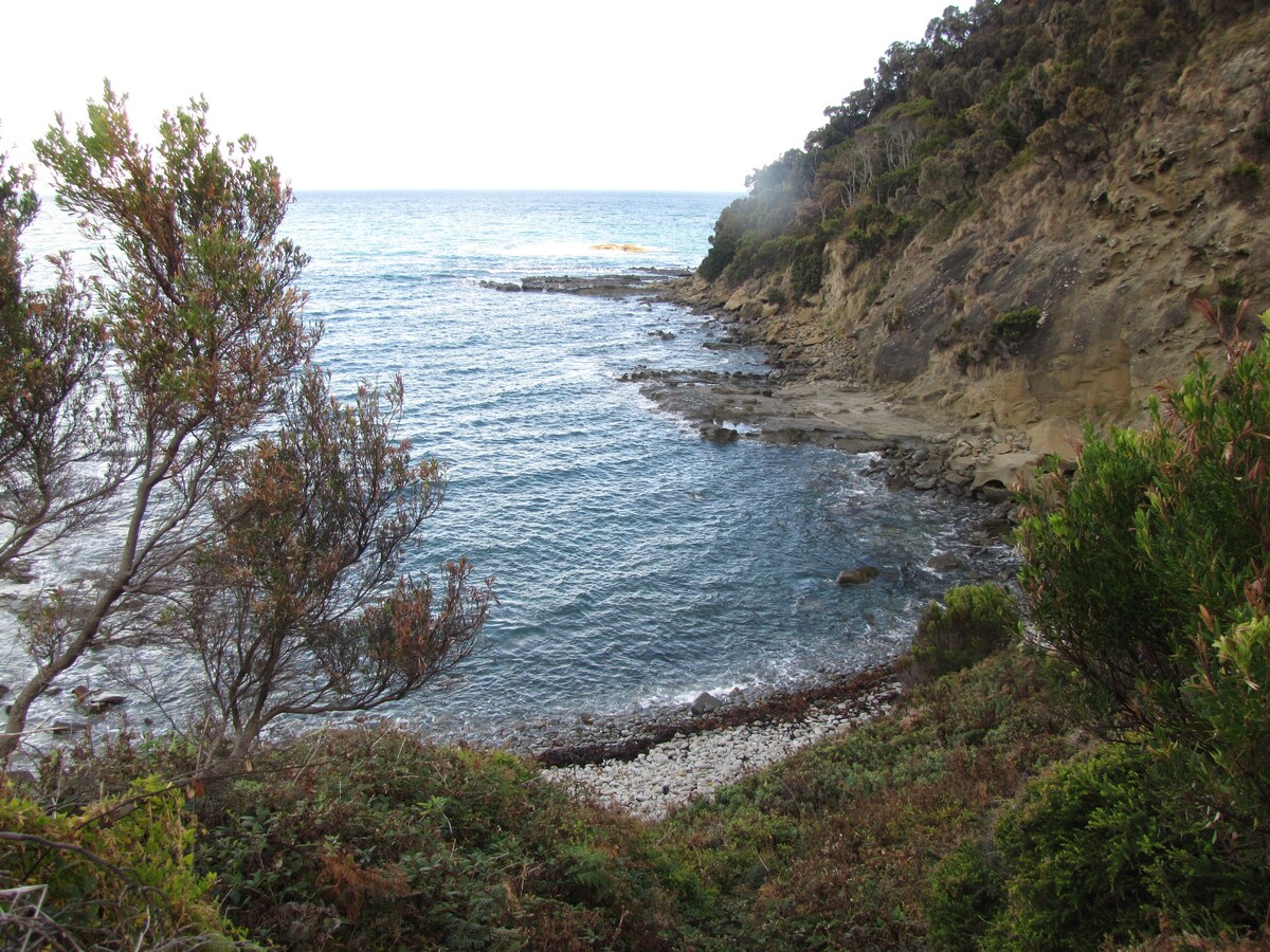 Great Ocean Walk 4 @ 5米钟形帐篷