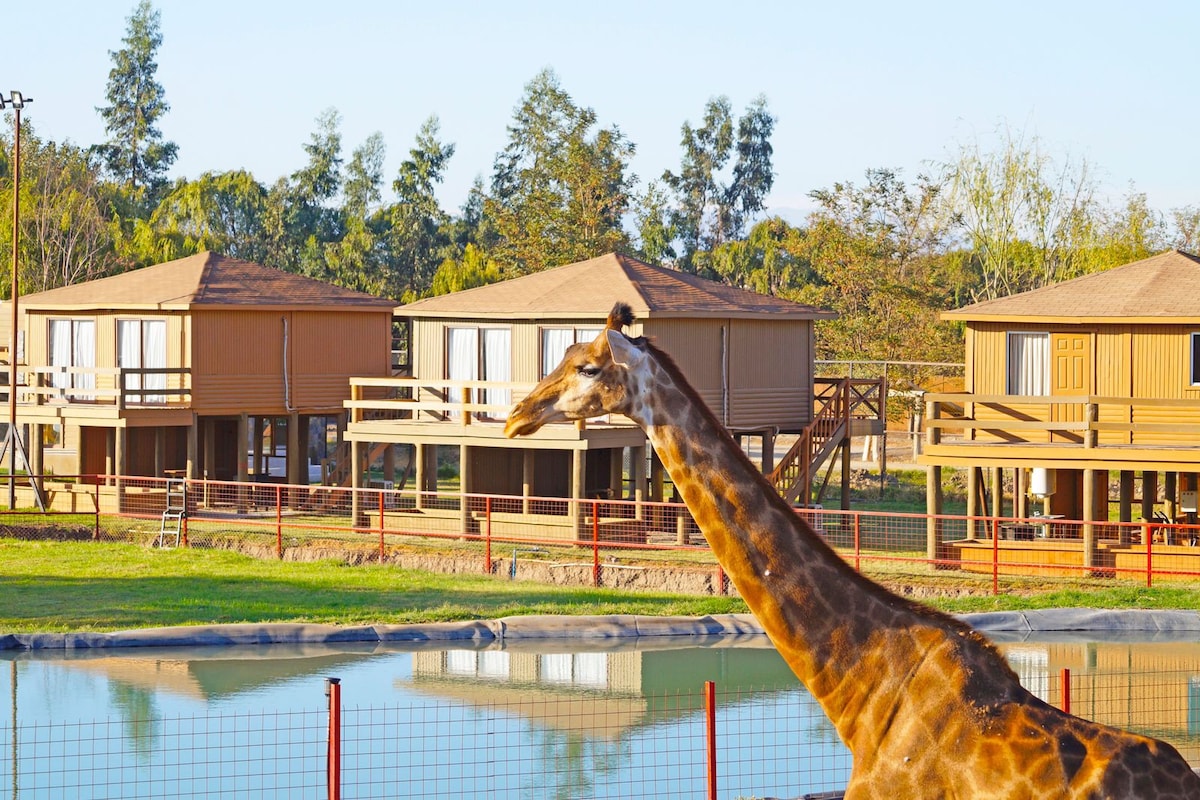 Palafito Safari Lodge