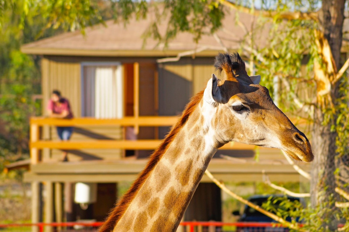 Palafito Safari Lodge