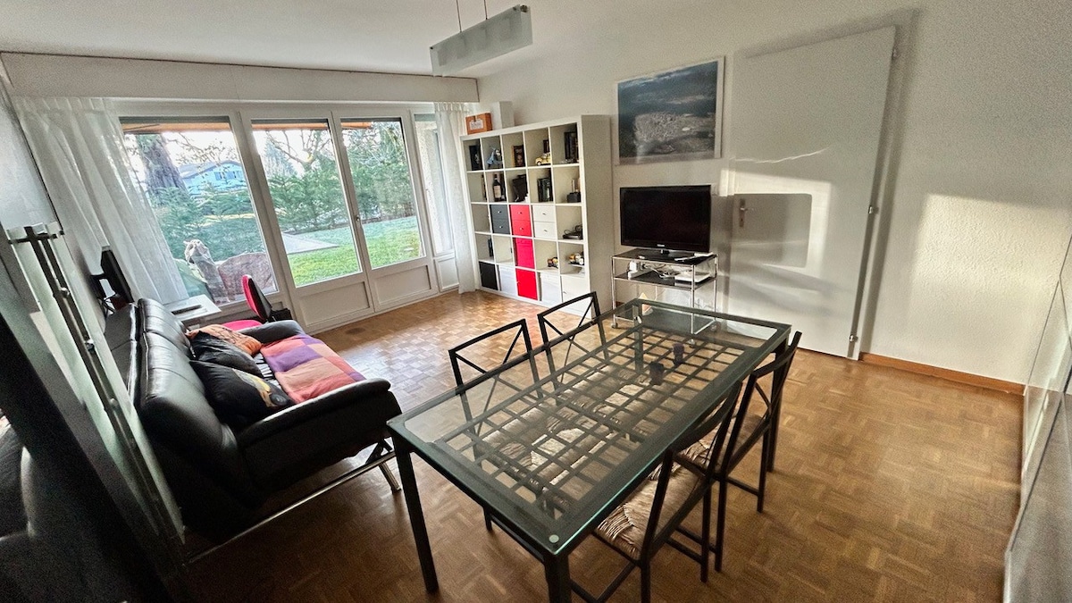 Lovely apartment in Coppet