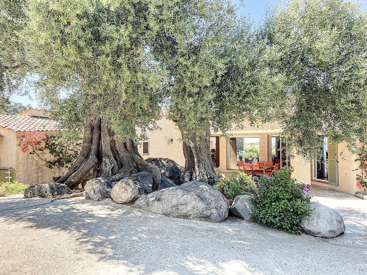 Villa marine de Davia, belle piscine, plage à pied