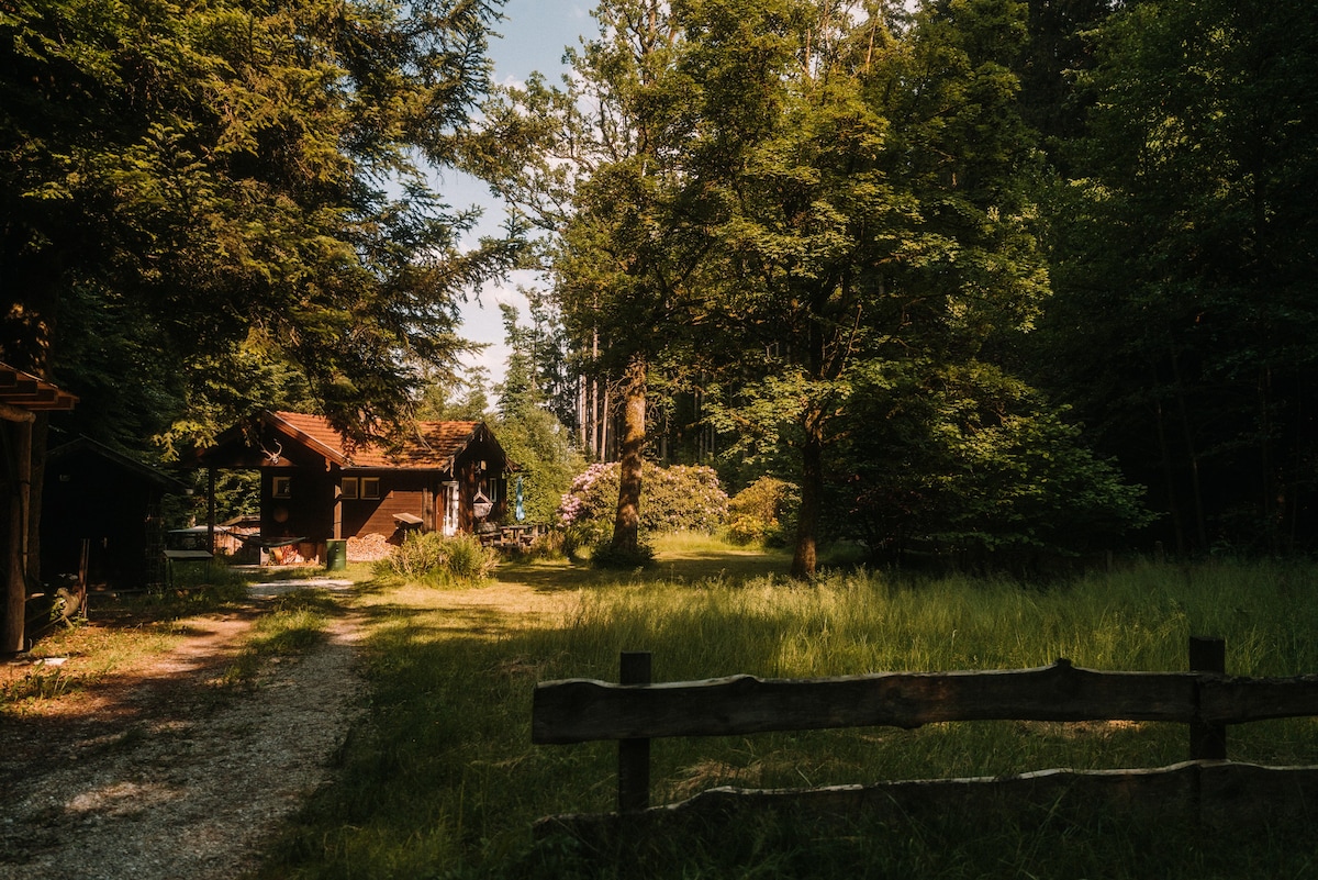 Märchenhafte Auszeit im Wald