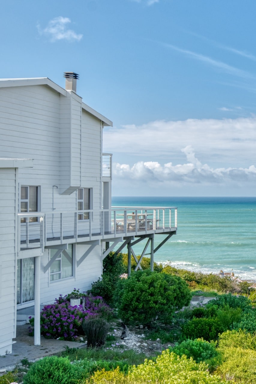 Driftwood beach dreams and views