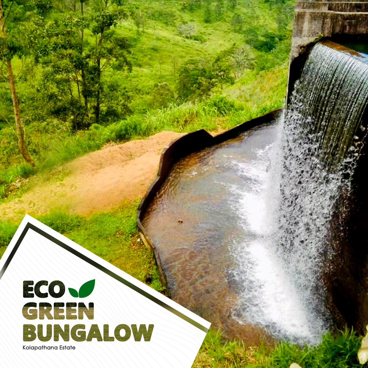 Eco Green Bungalow.
