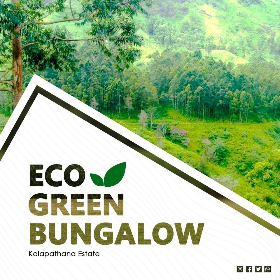 Eco Green Bungalow.