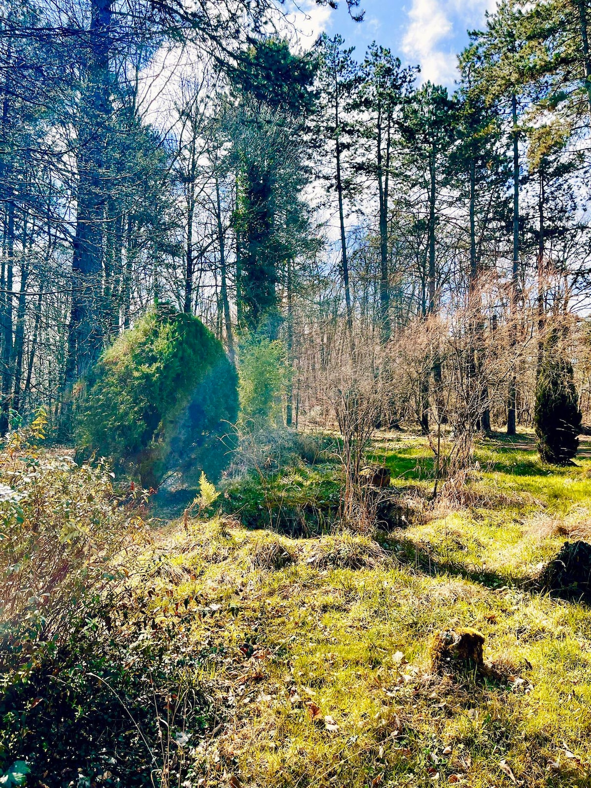 La maison des bois à 10 minutes de Vezelay