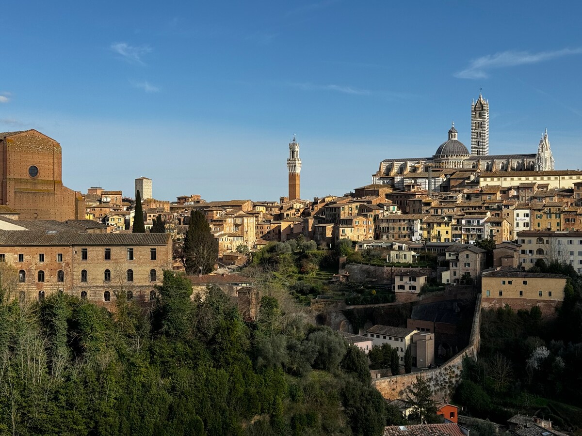 Skyline Siena