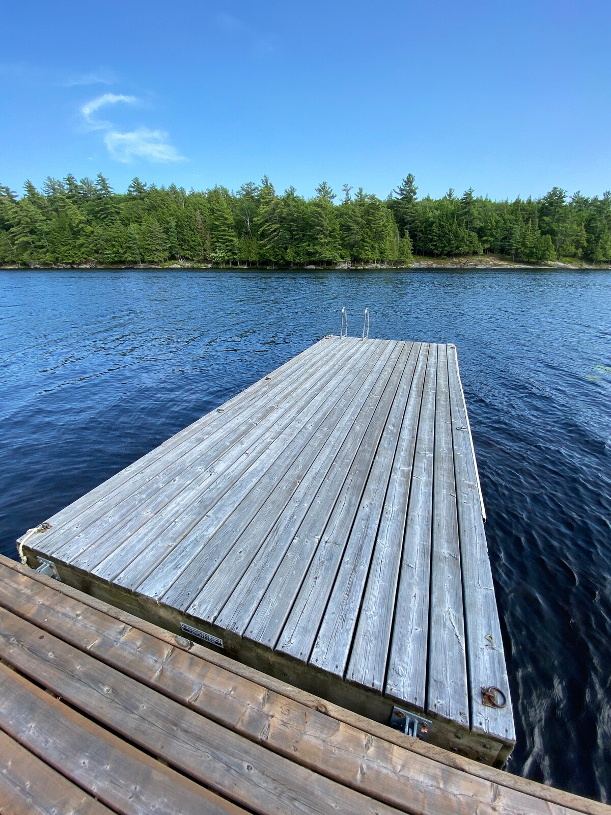 Muskoka Lake House  Healey Lake