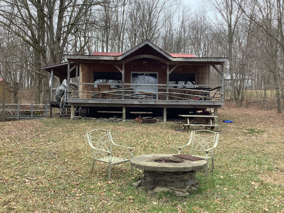 Willow Point Cabin:Brenchly Lake