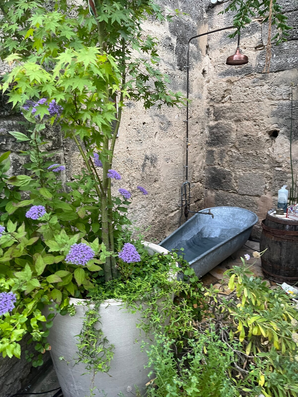 La campagne, aux portes d'Uzès