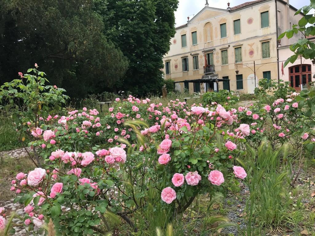 Villa Nani Mocenigo, near Venice