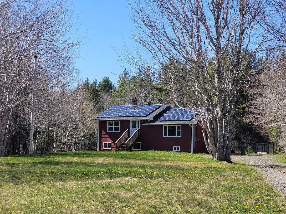 Spacious, bright house and yard