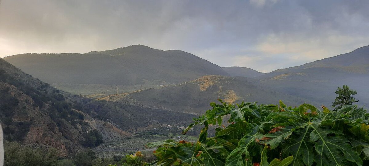 科尔蒂霍（ Cortijo ）古老翻修的舒适小屋