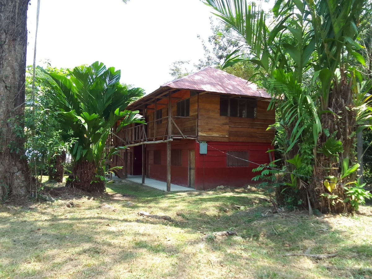 Cabaña a la orilla de la playa