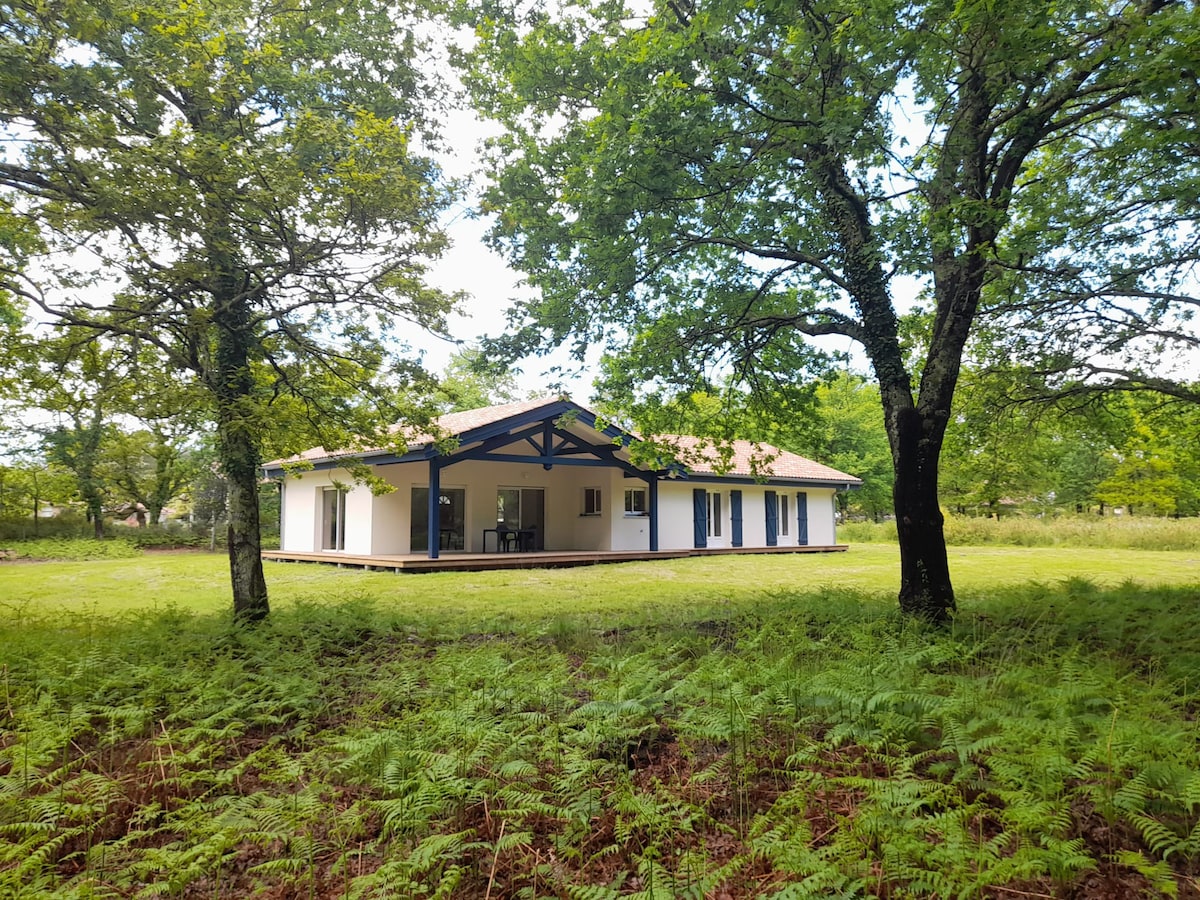 Maison au coeur de la fôret