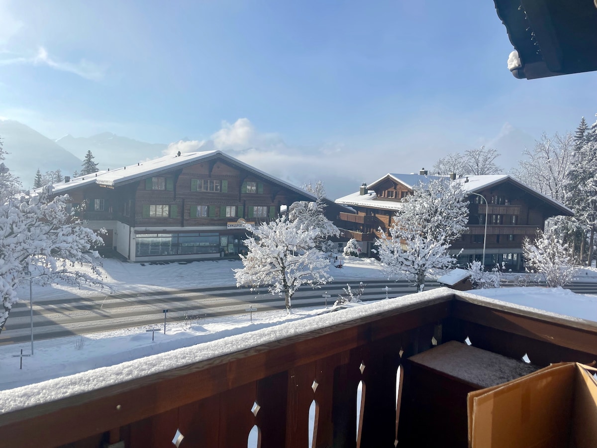 Stunning apartment, Gstaad area