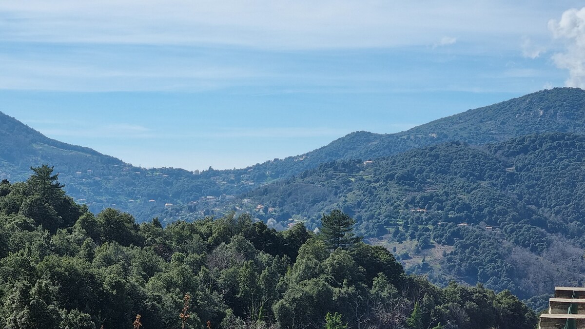 Villa sur terrain arboré