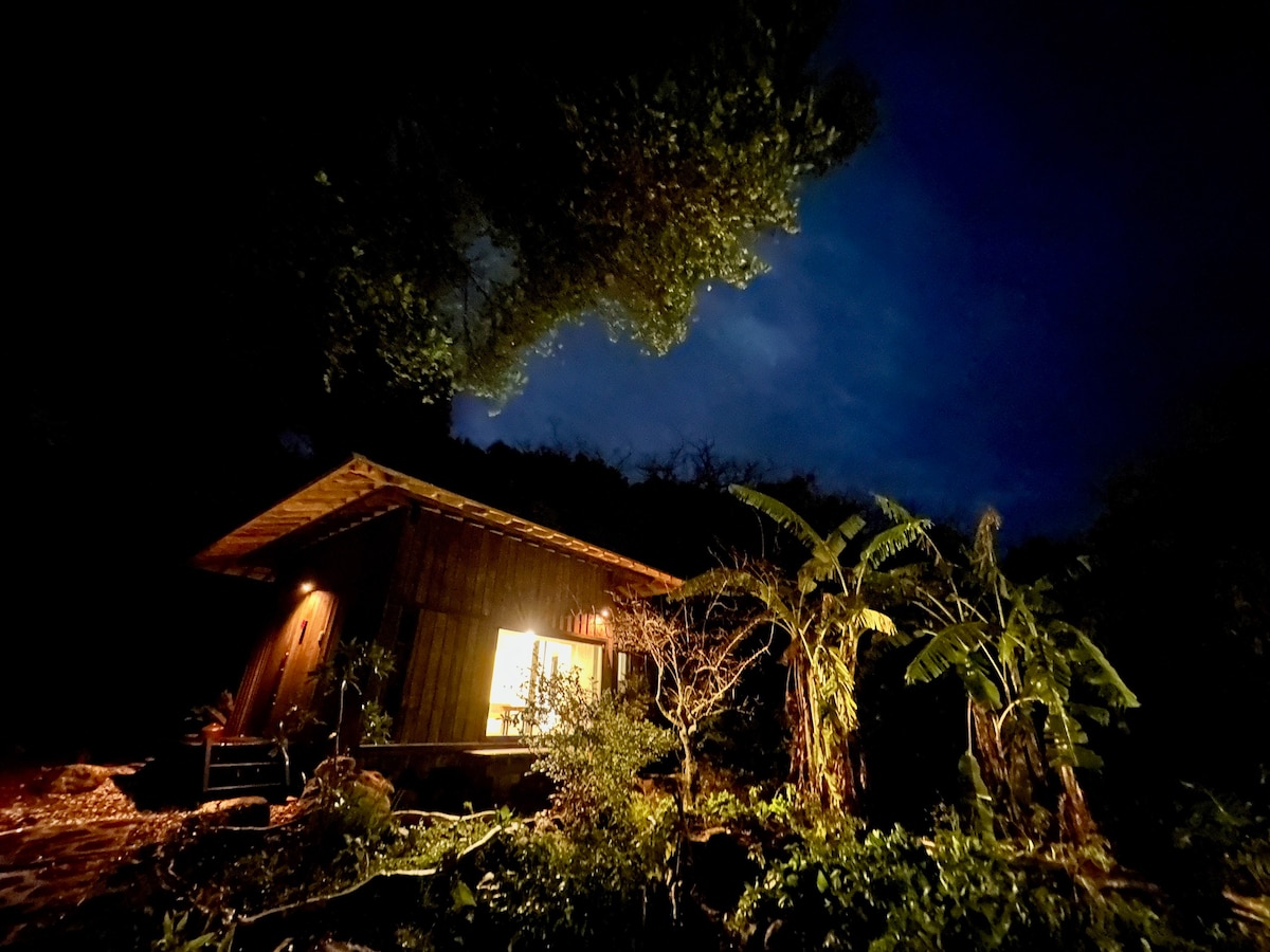 Banyan Retreat ：巢穴ガジュマルの隠れ家： 鳥の巣
