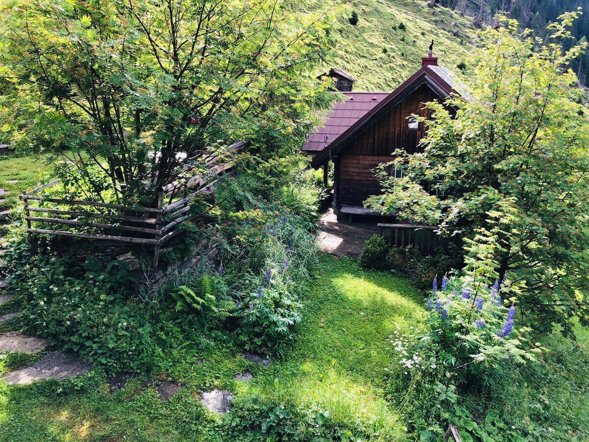 Almhütte im Bergparadies