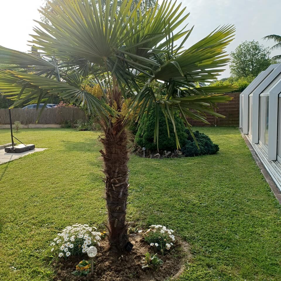 Jolie maison + piscine chauffée couverte  +jacuzzi