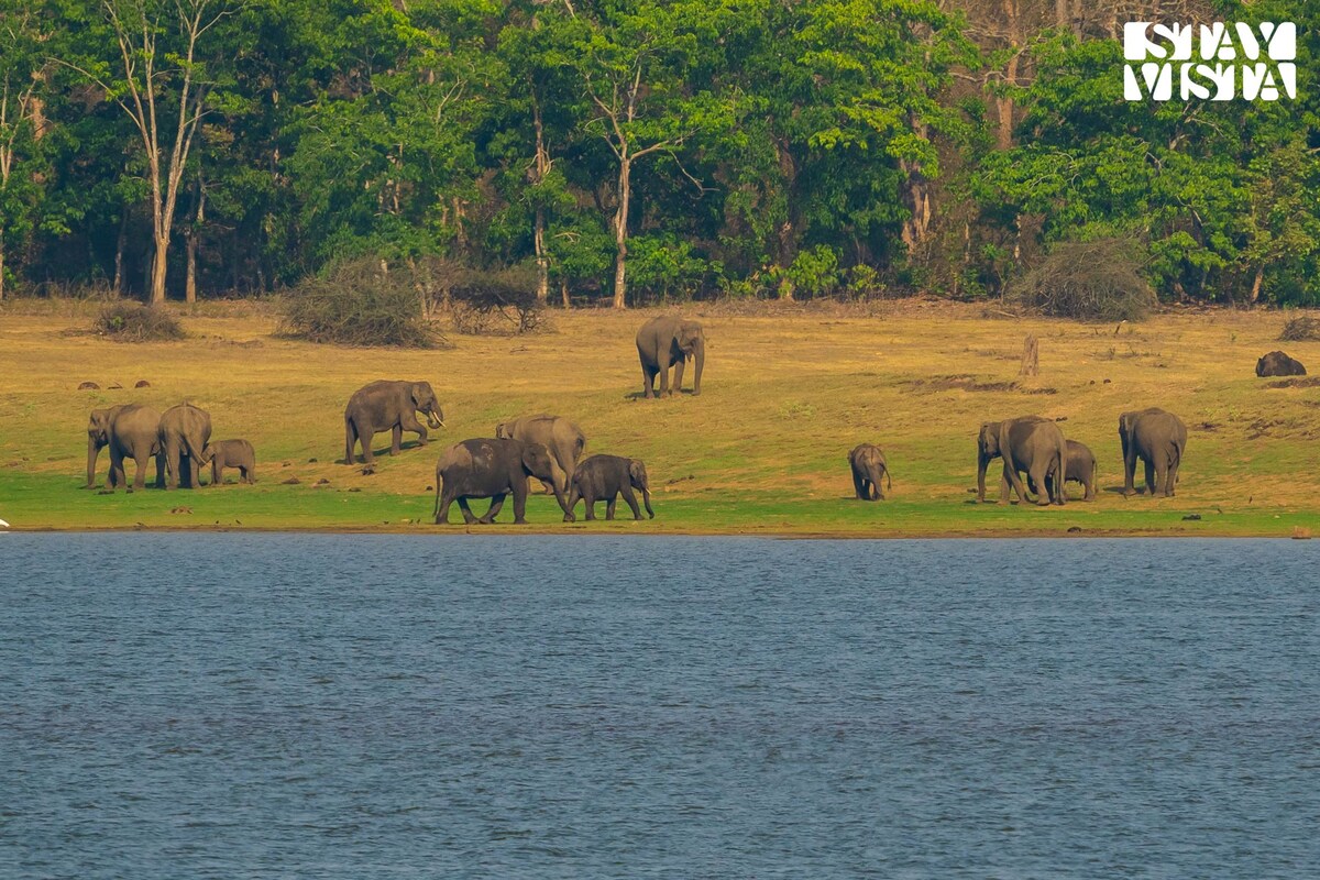 StayVista at Glory @  Exotica Kabini All Meals Inc