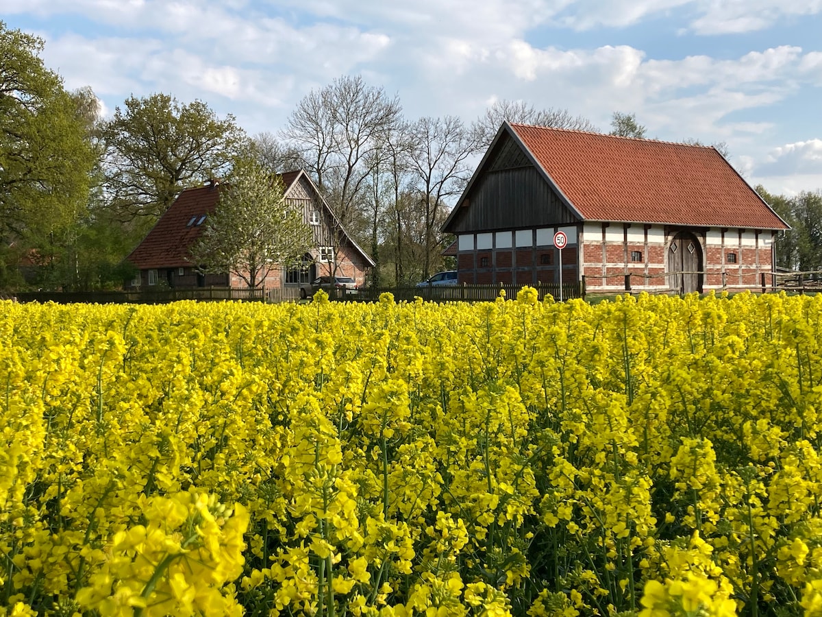 Fachwerkhaus an der Hase, nahe Alfsee - mit Sauna