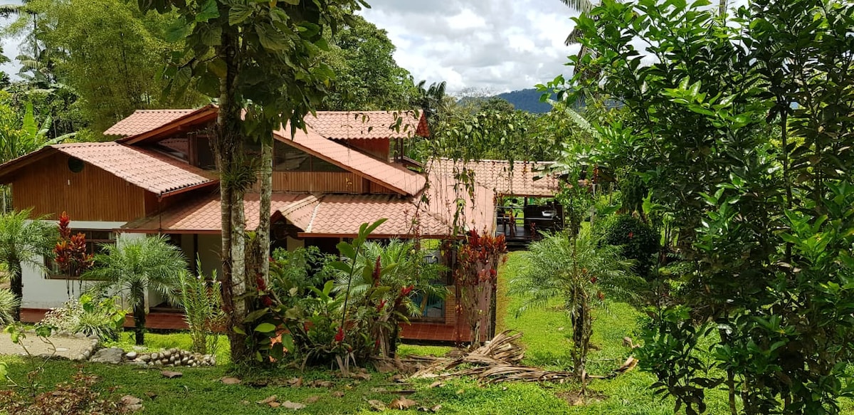 Dream house surrounded by nature