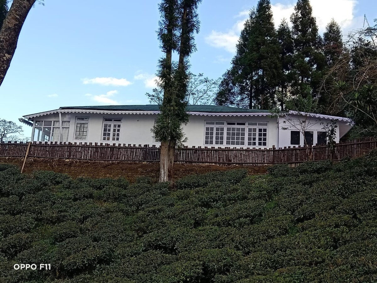 Explore hidden magic of living in tea garden farms