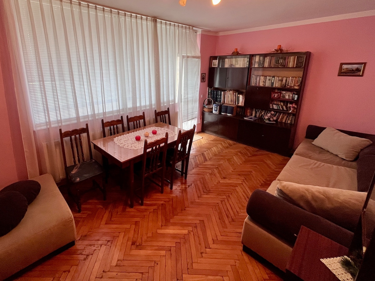 Spacious Apartment in the City Centre