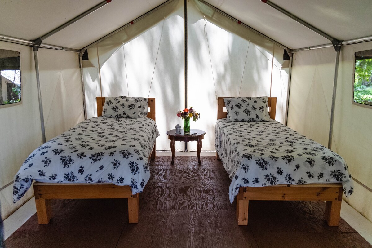 The Belwood Tent-King/Twins