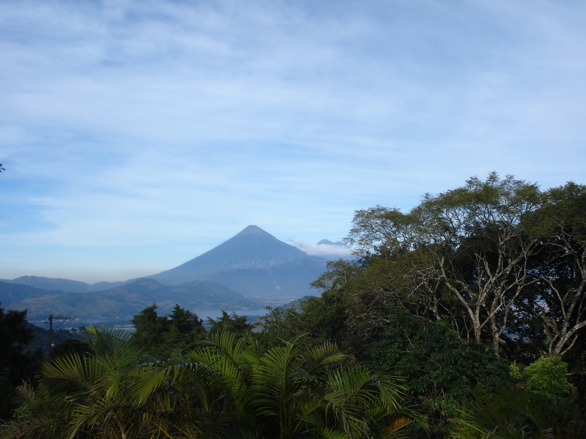 Monte Alto / Lirios, Carretera a El Salvador