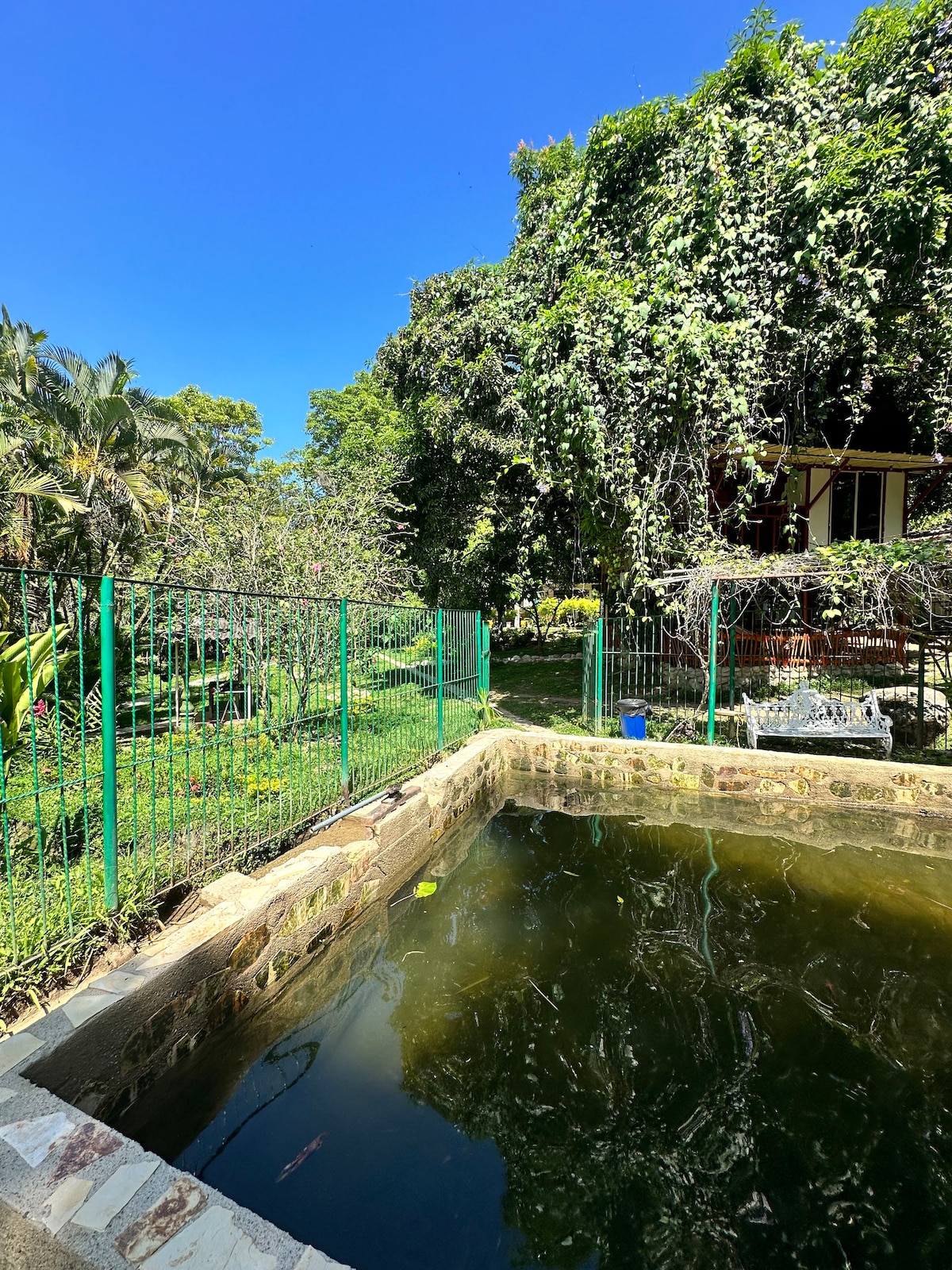 CabañaCOLIBRÍ | CasaLuna Rivera