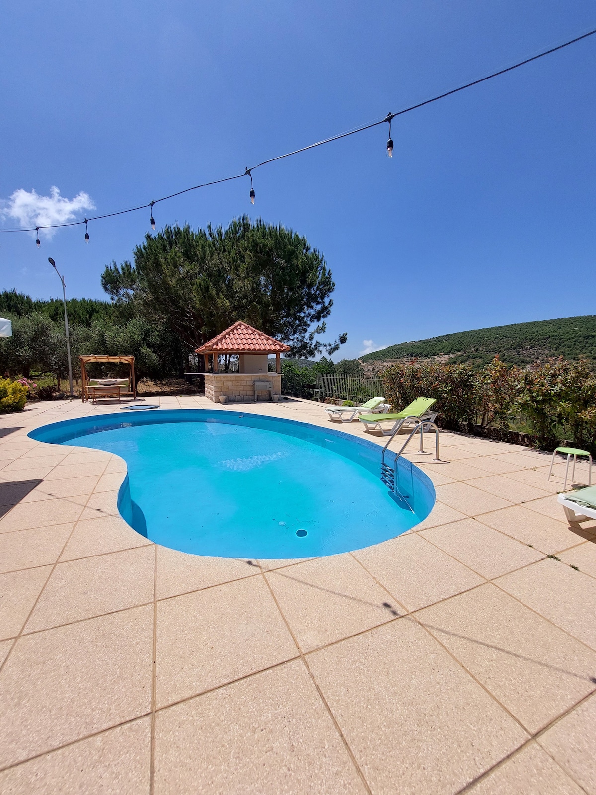 4 Bdr Private Villa w/Pool | Lebanon rental