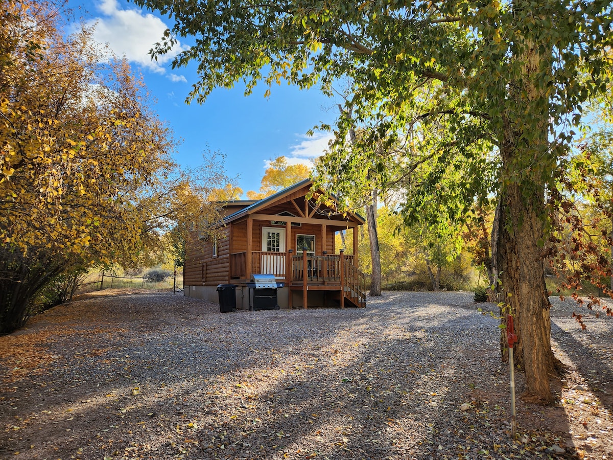 Park Cabin at Pine Creek Cabins Resort