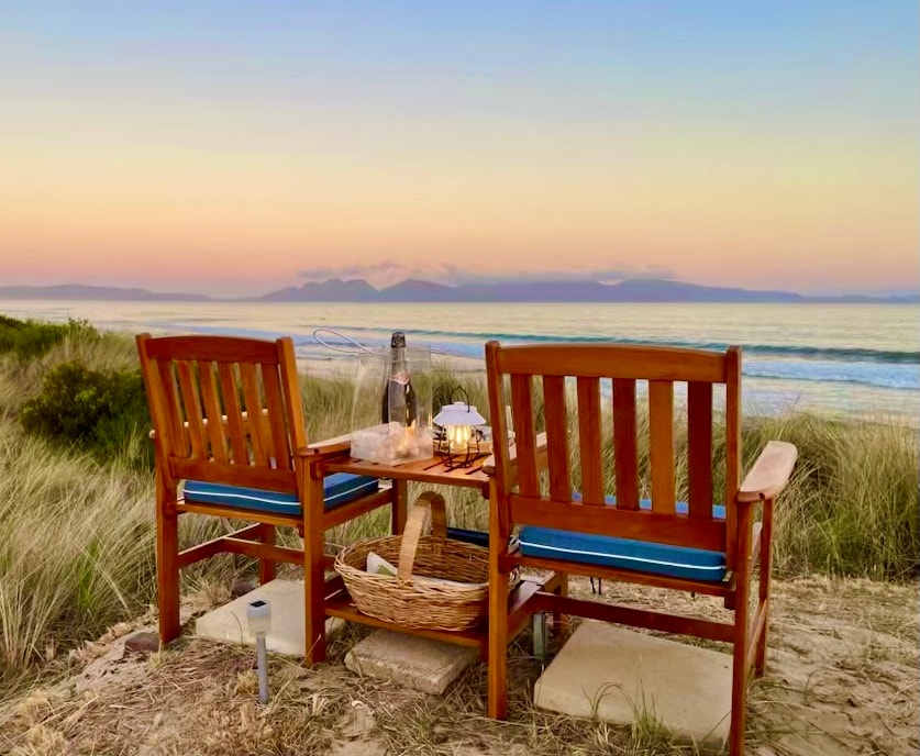 Bonnie Dune, a nest in the sands