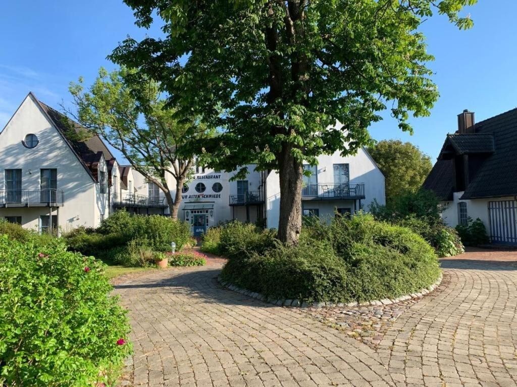 Charmante Reetdach-Doppelhaushälfte in Schaprode