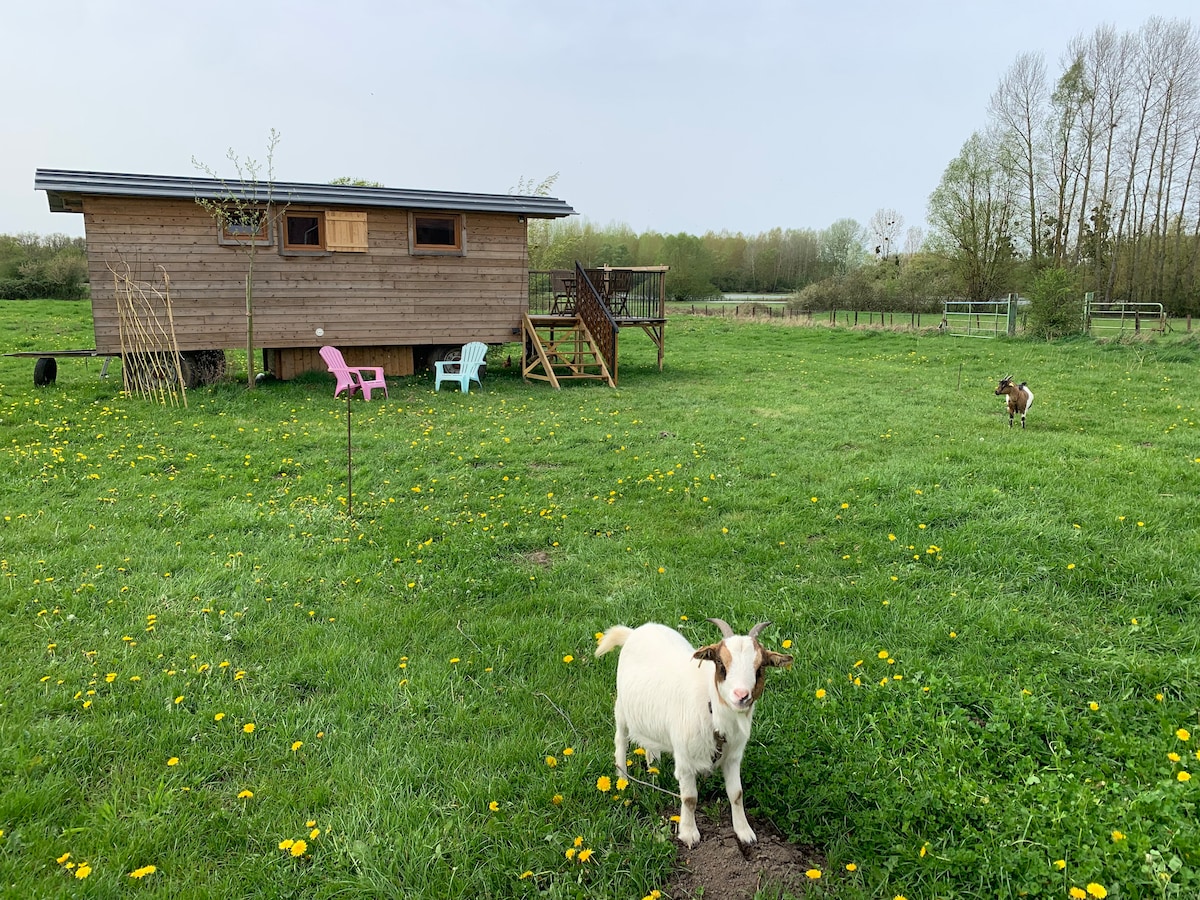 Roulotte au pré du chêne