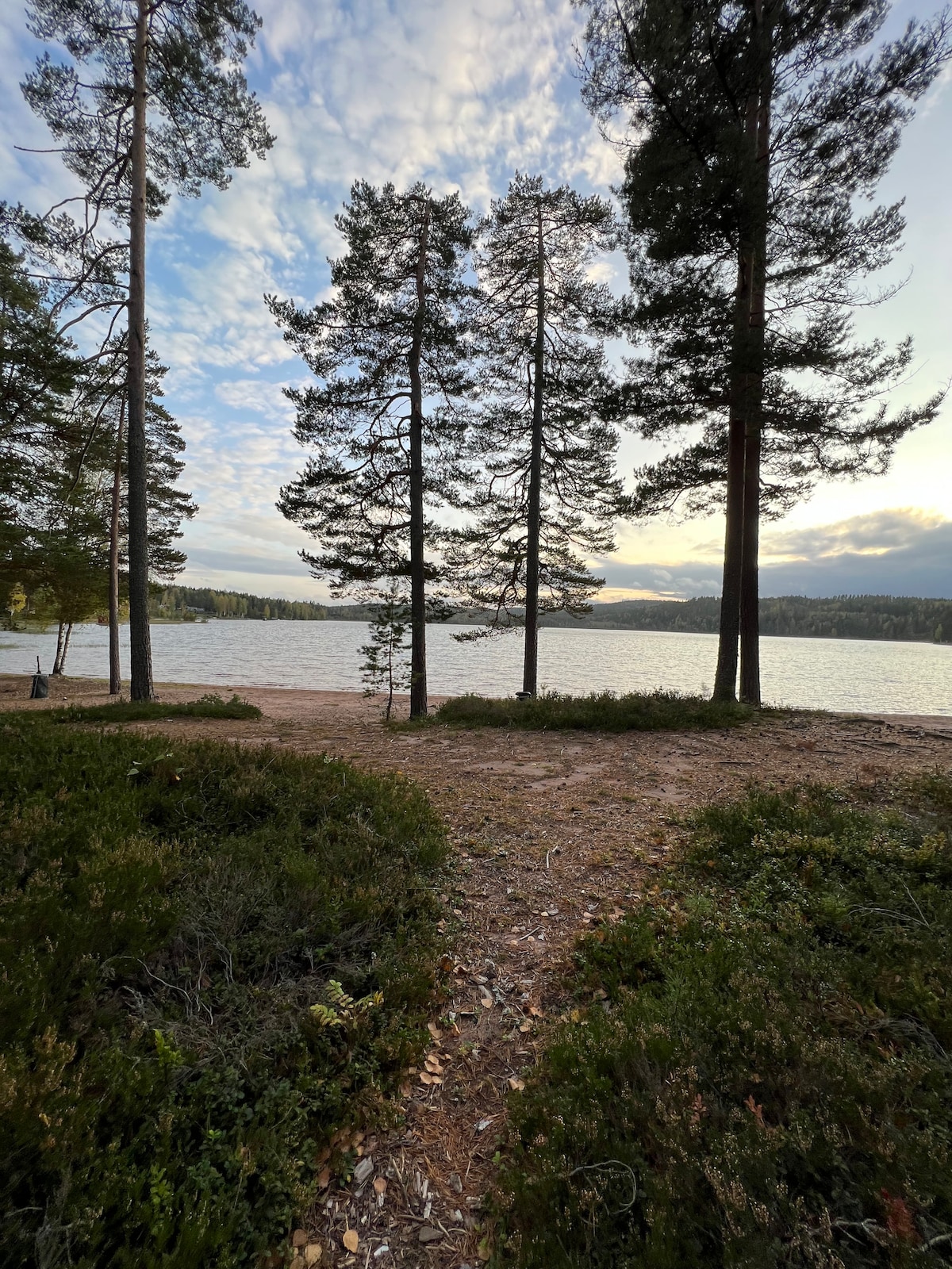 Mysig stuga vid Dammsjön, Säter