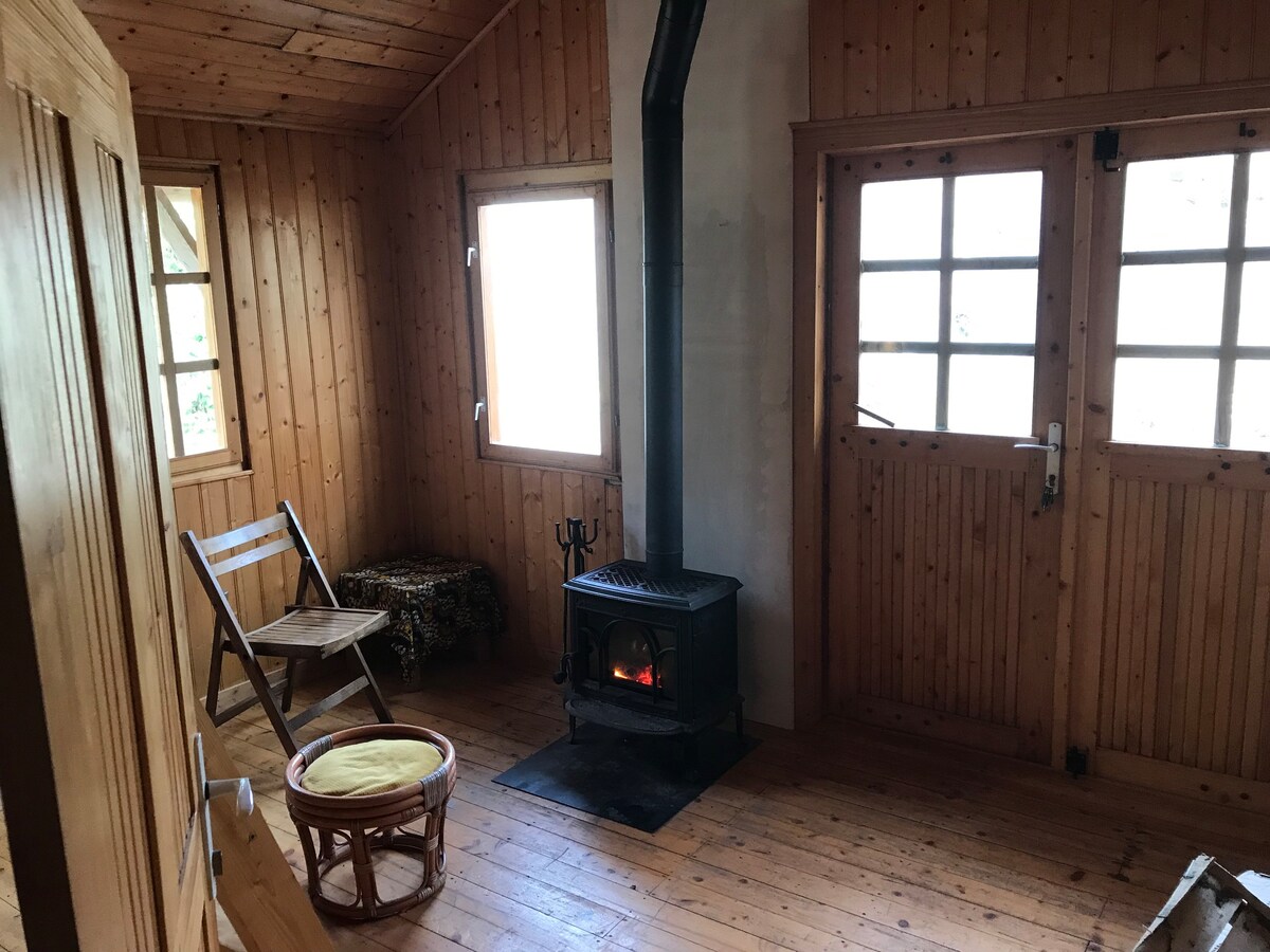 Chalet entouré de forêt