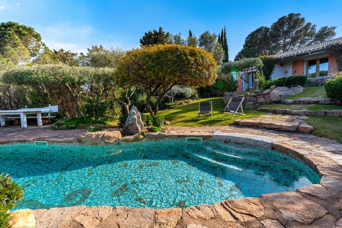 天堂别墅（ Villa Paradiso ） ，泳池，公园，令人惊叹的景观