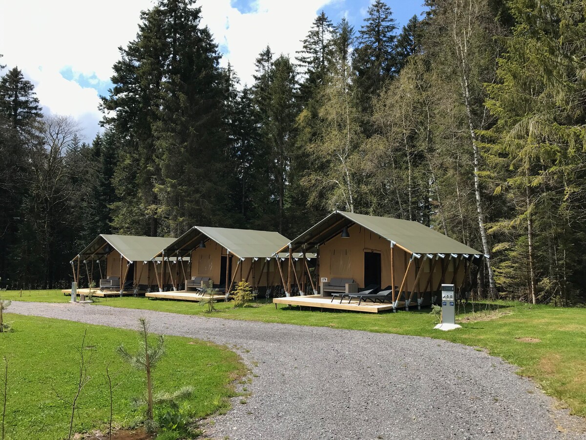 Camping La Sténiole - Safari tent 5p