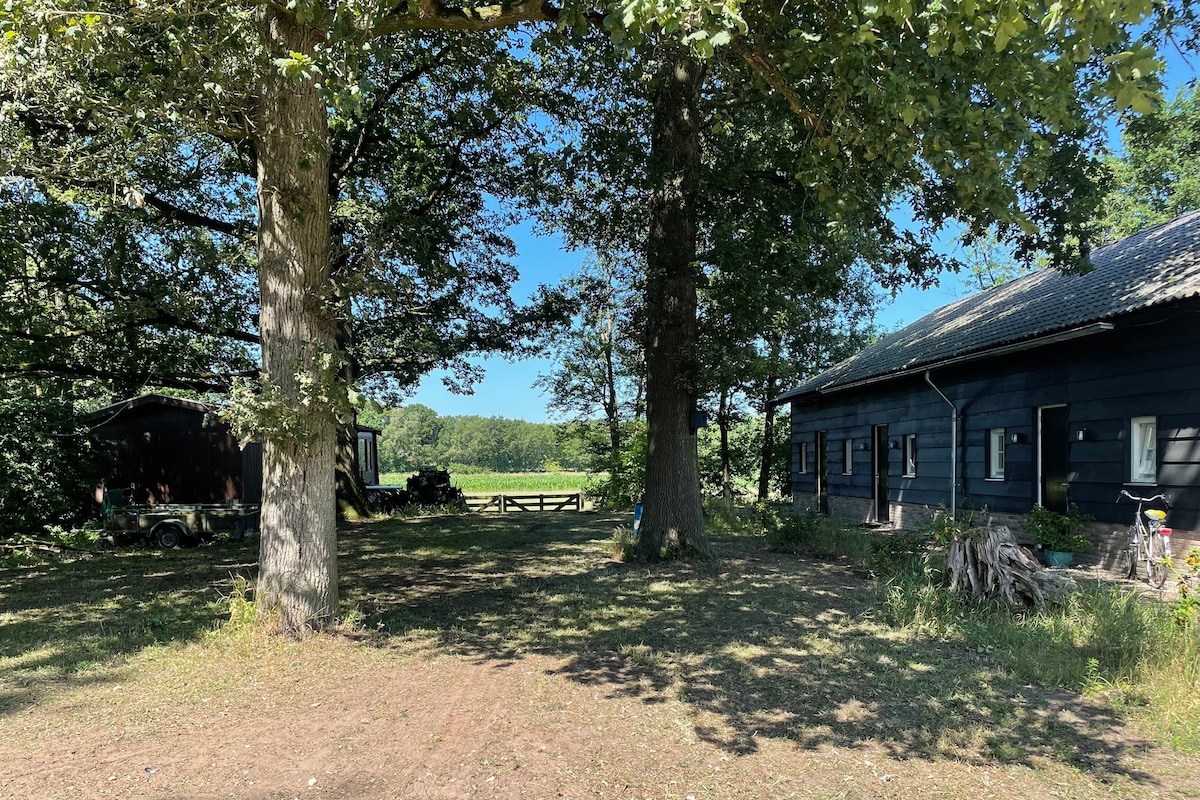 Achter de oude schaapskooi