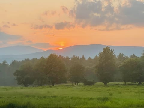 solar eclipse land rental-NY #12