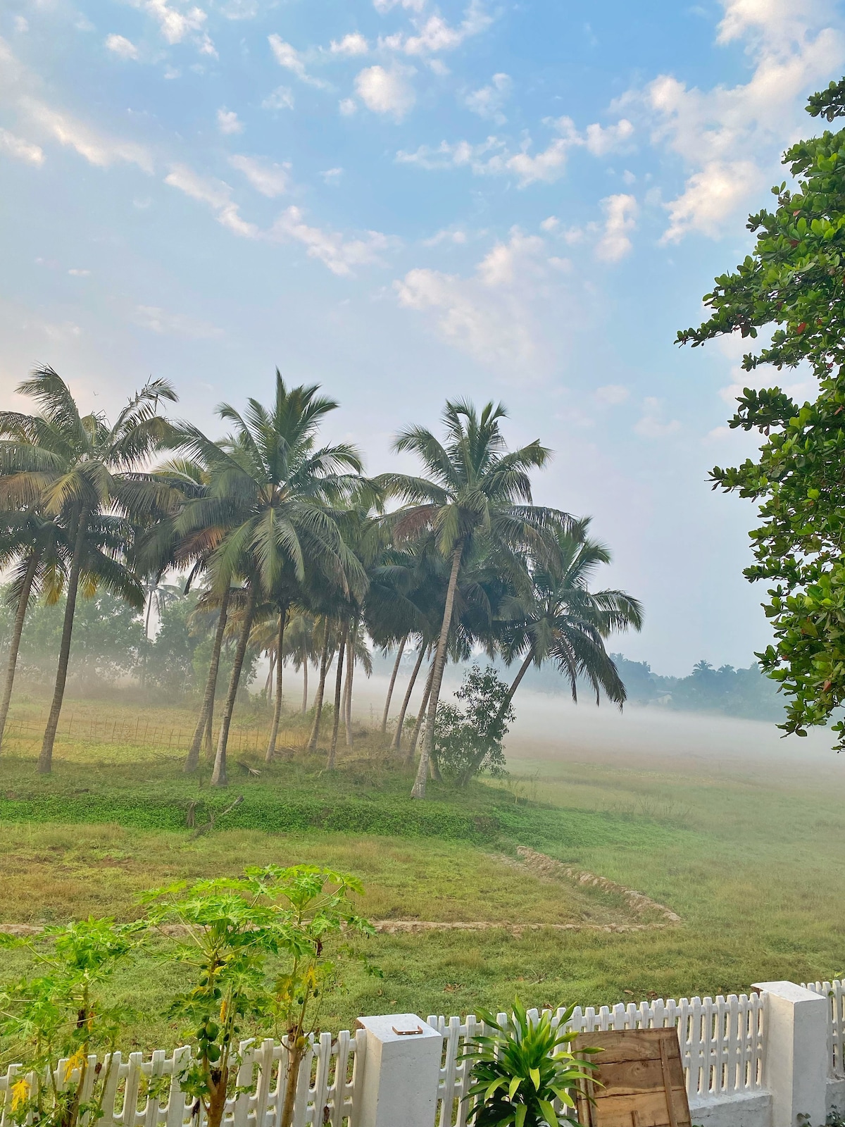 Bluebell Meadows | 2BHK | South Goa