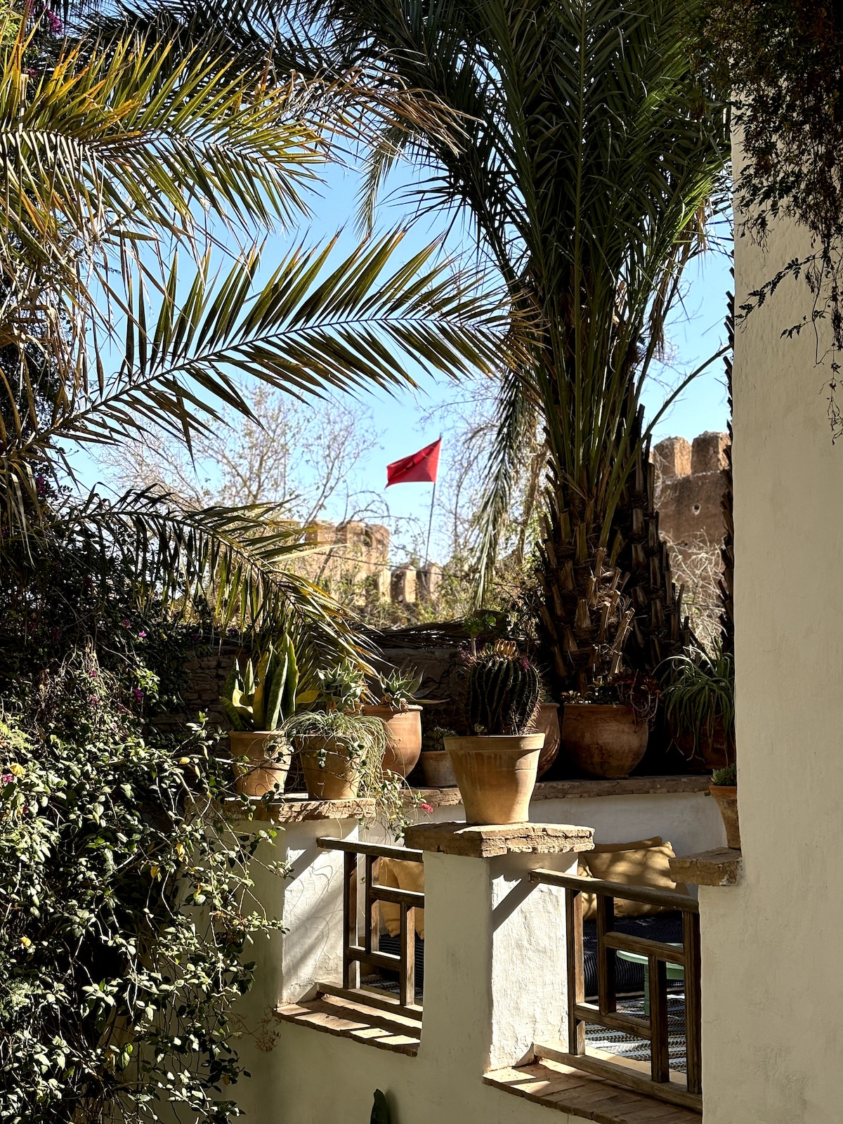 Une Oasis dans la Kasbah