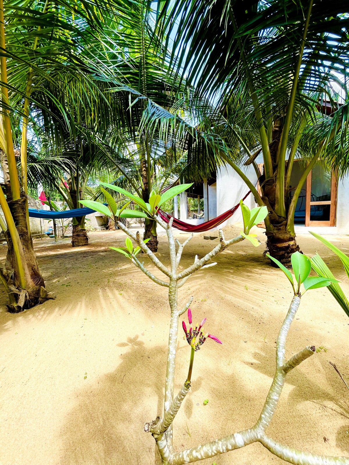 Djaka Beach Villa