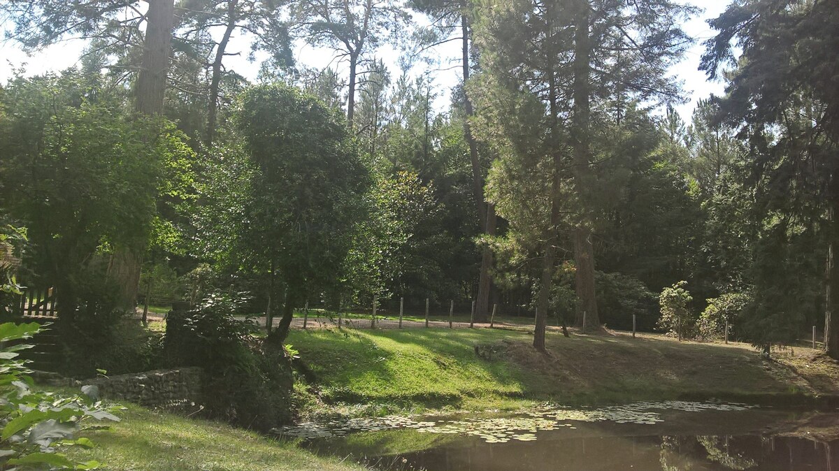 Gite avec étang au vert